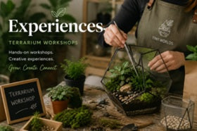 Experiences