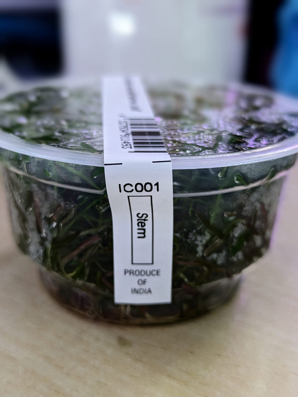 IC001