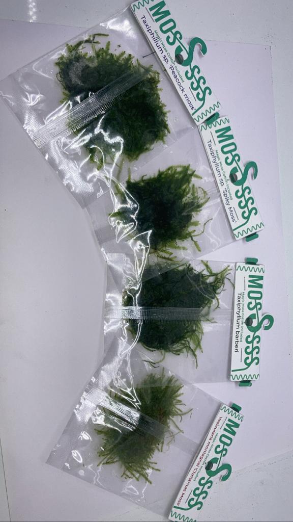 Moss Bags