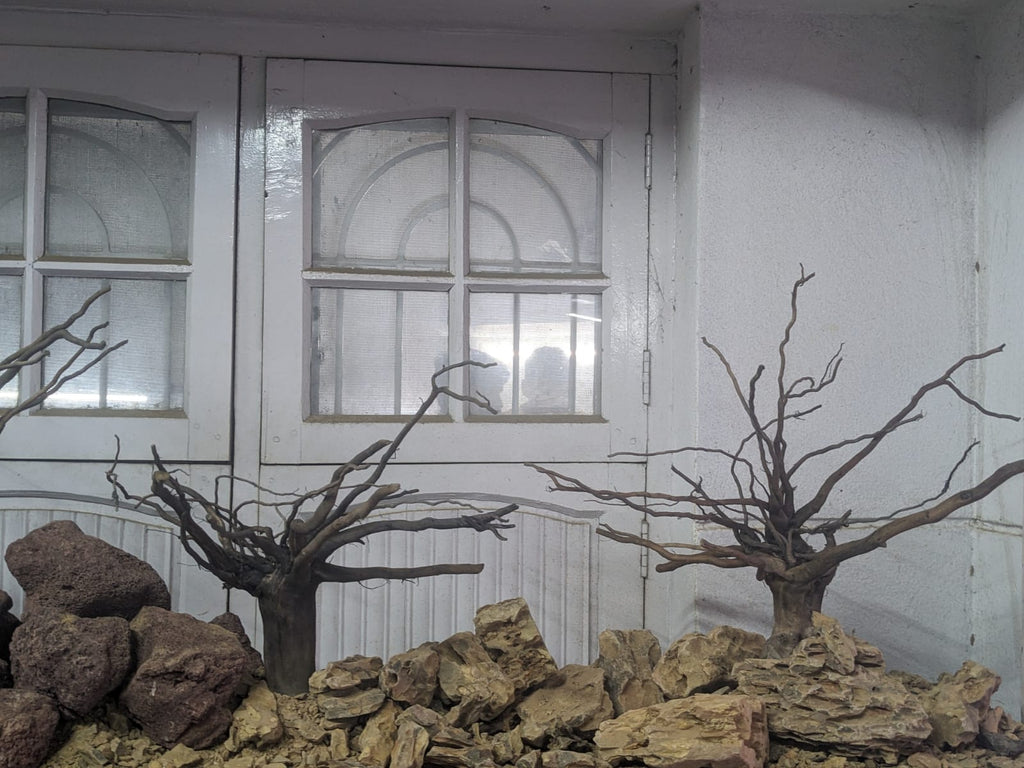 branchedwood
