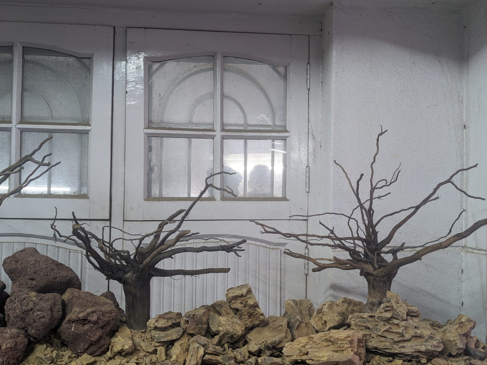 branchedwood