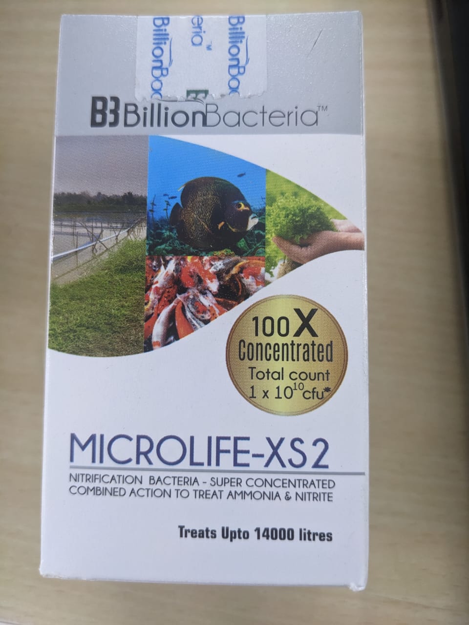 BB Billion Bacteria