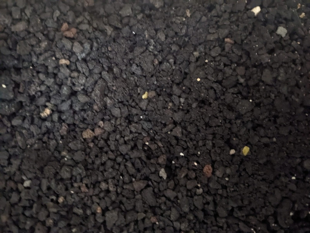 Lava Chips