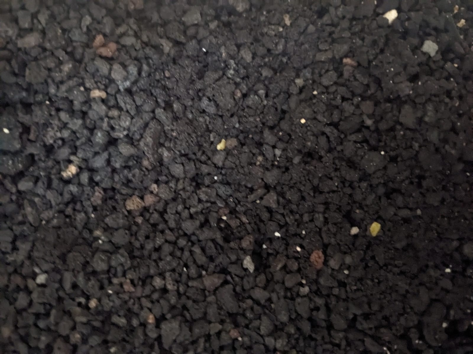 Lava Chips