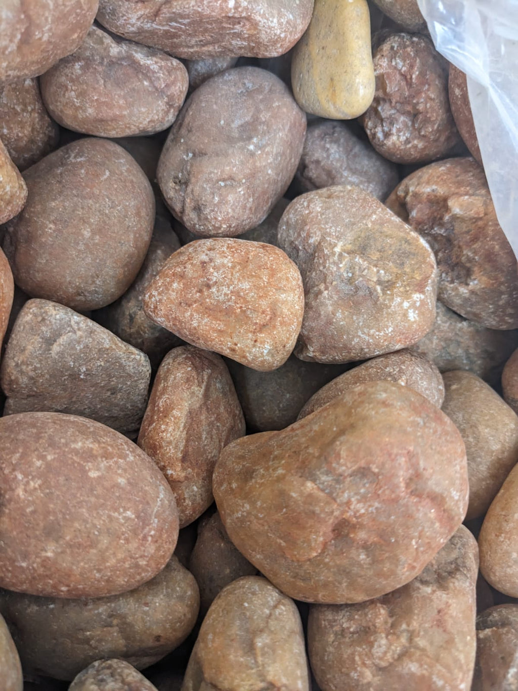 brown pebbles