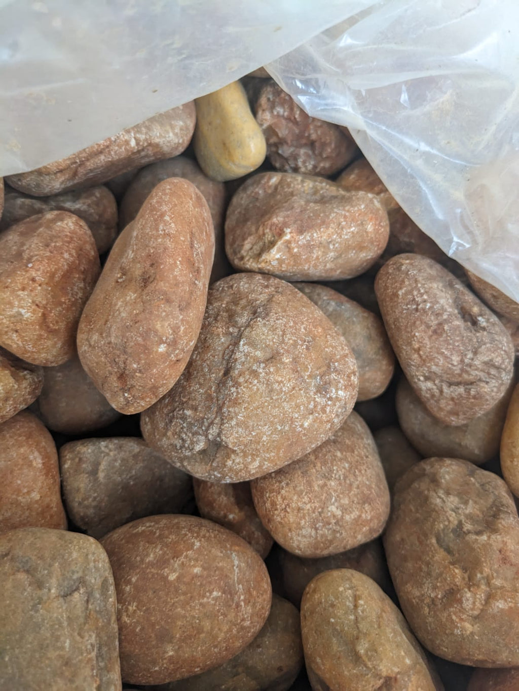 brown pebbles