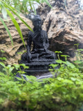 buddha_new (1)