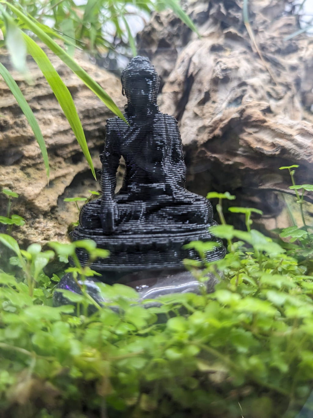 buddha_new (1)