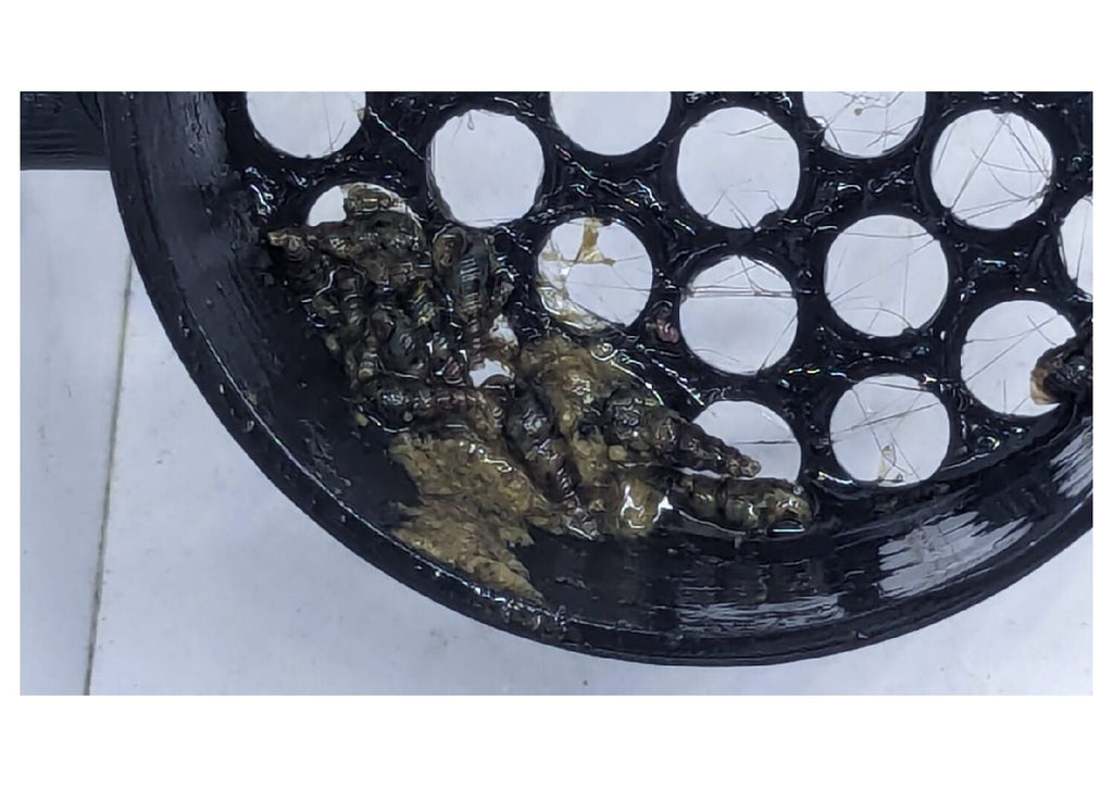 WhatsApp Image 2024-01-31 at 12.14.34 PM