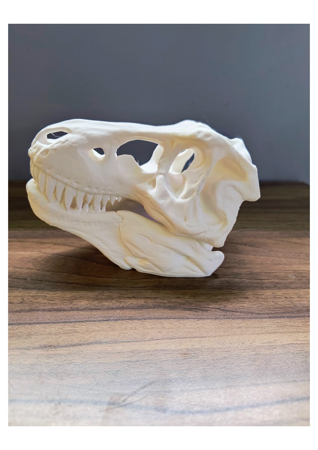 WhatsApp Image 2024-02-04 at 2.14.37 PM (1)