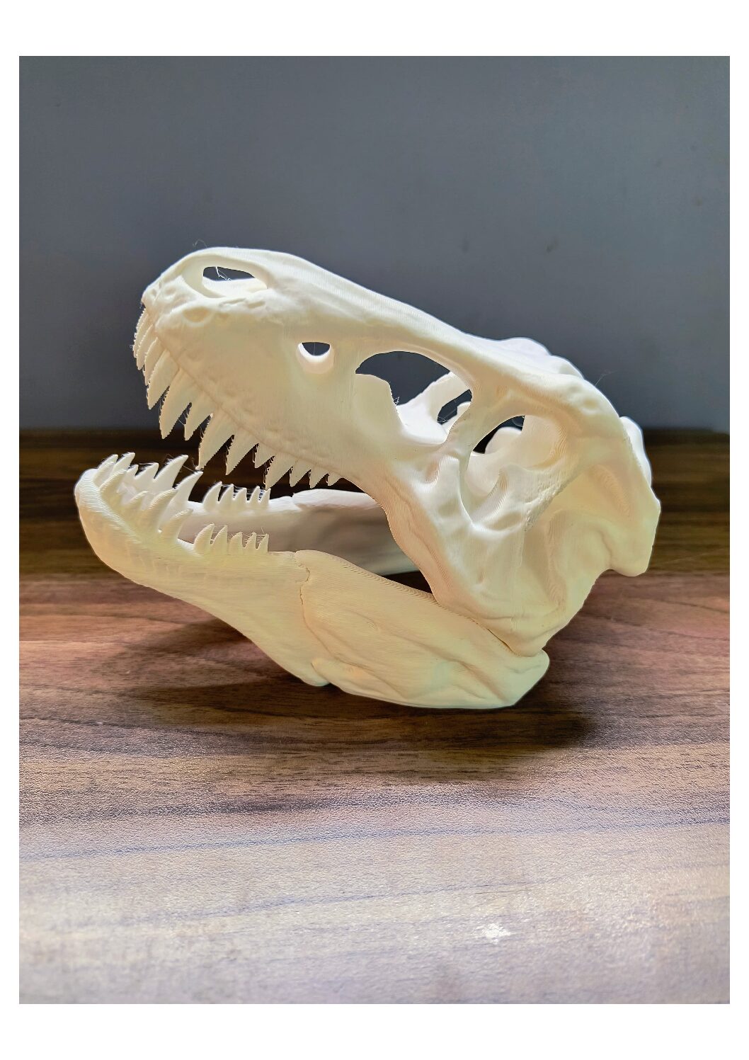 WhatsApp Image 2024-02-04 at 2.14.37 PM