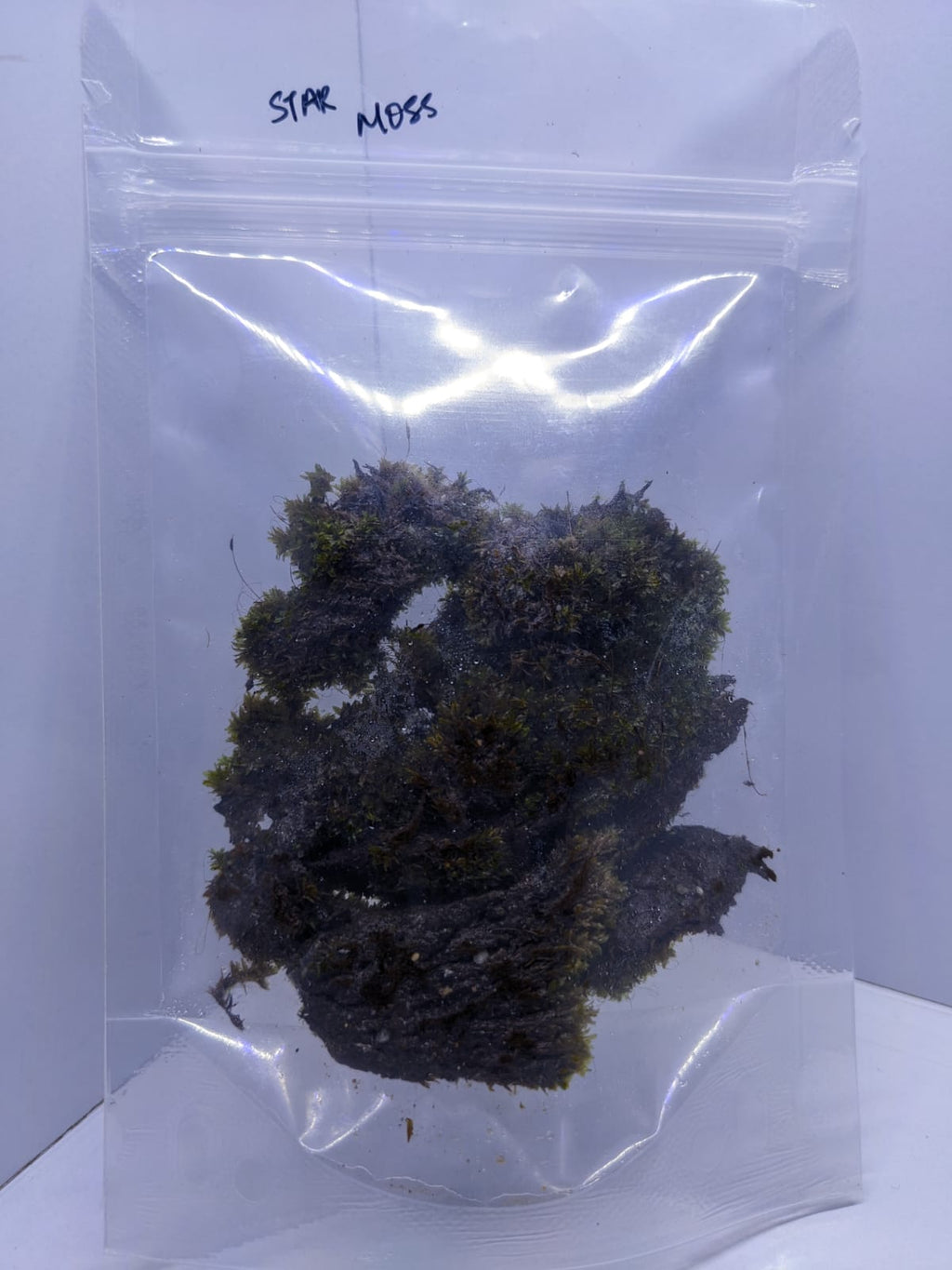 Star moss