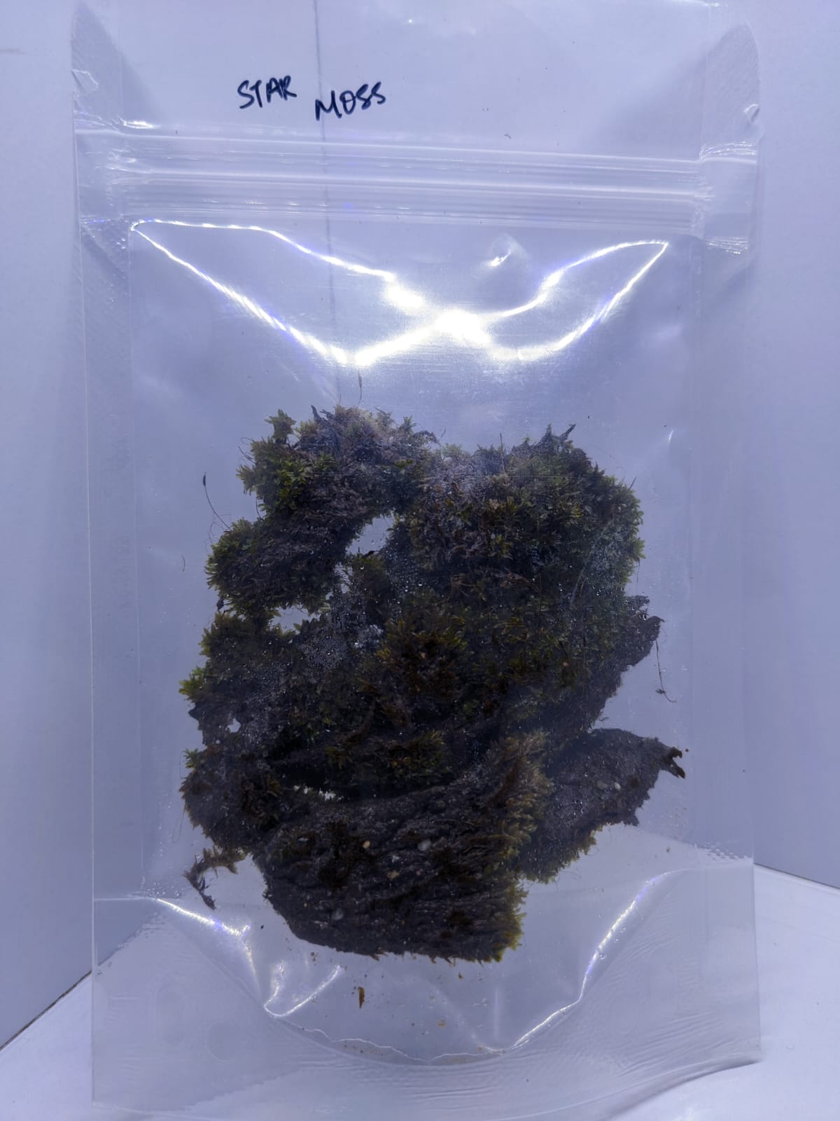 Star moss