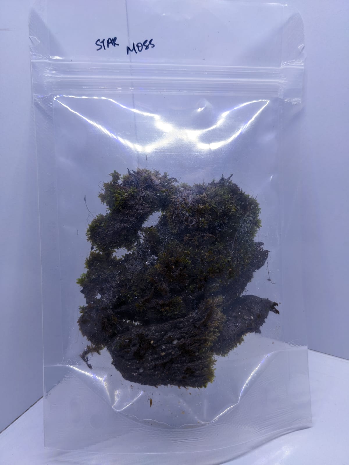 Star moss