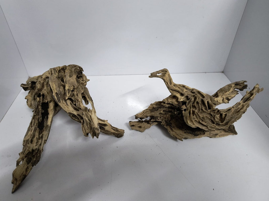 shrimp wood