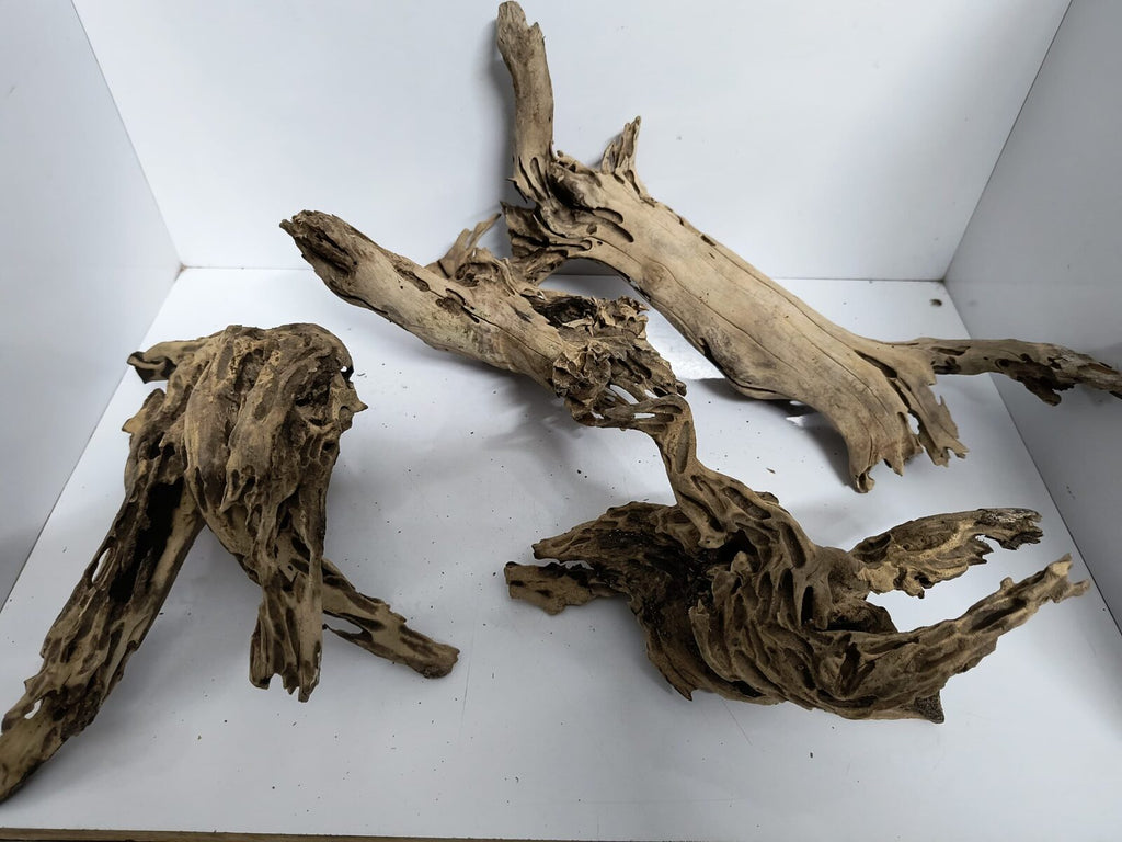 shrimp wood