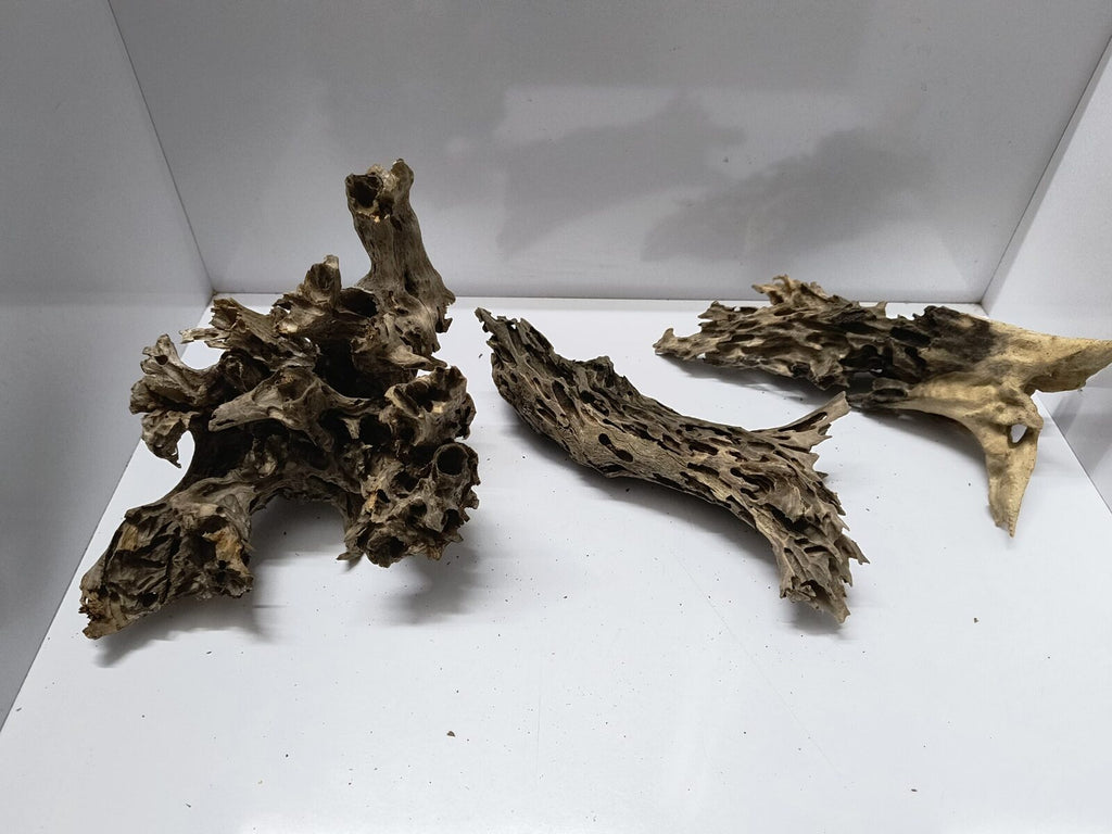 Shrimp wood