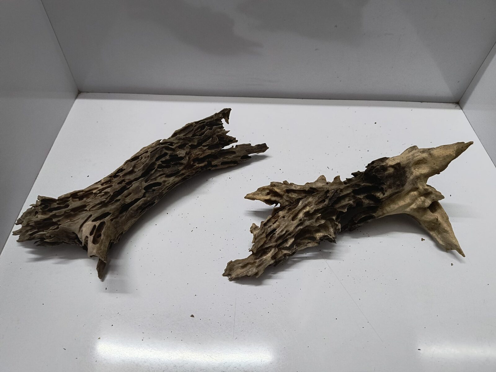 Shrimp wood