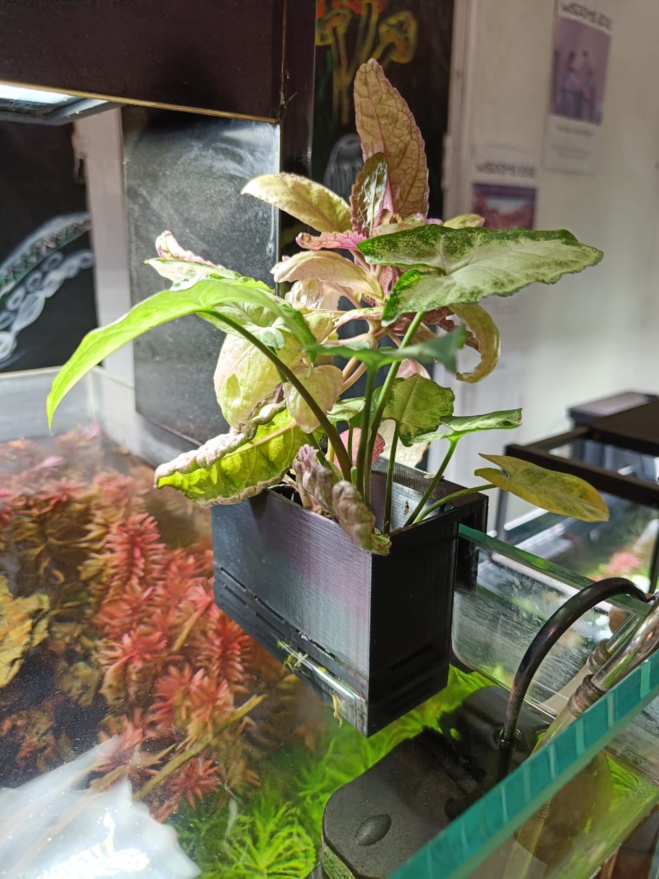 Aquarium Double planter