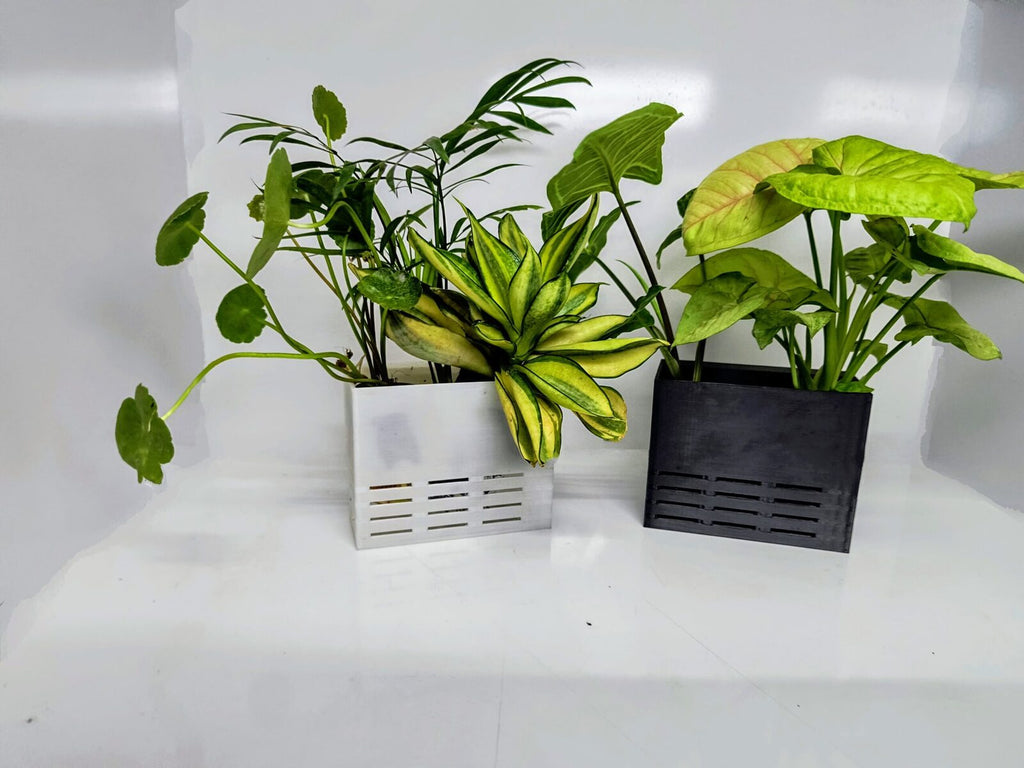 Double plant holder
