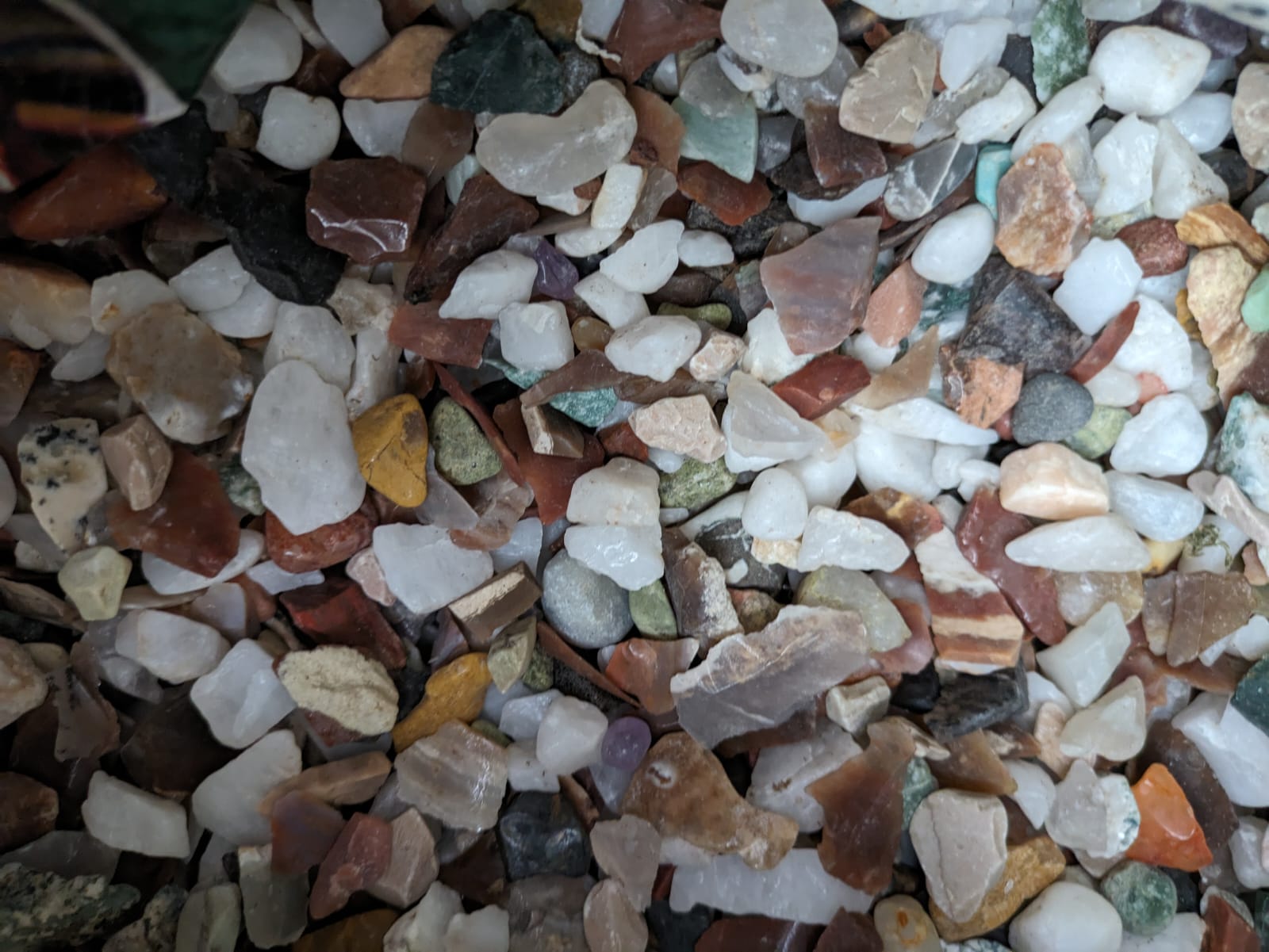 Polished chips