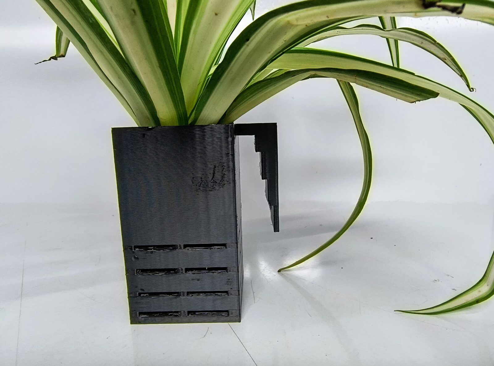 Aquarium Single planter