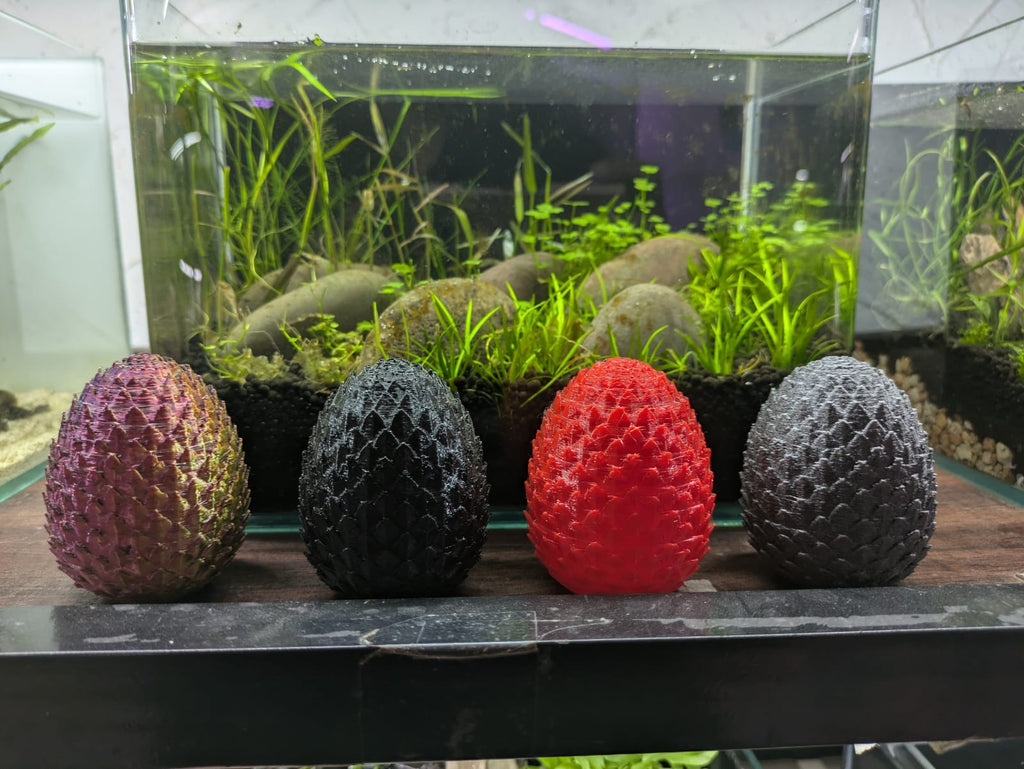 Dragon eggs