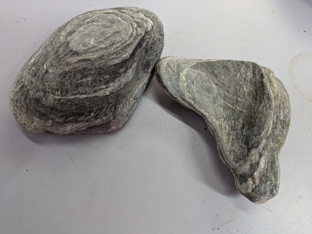Wild Rhino Stones