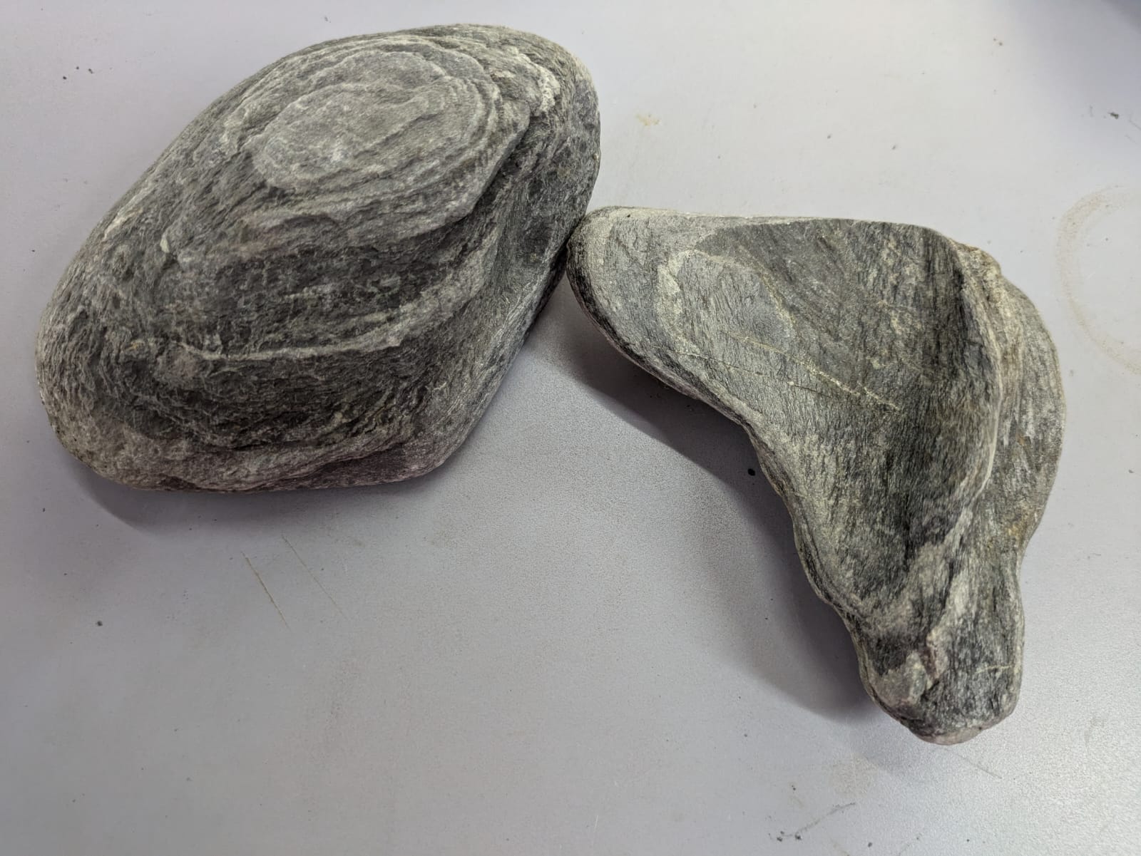 Wild Rhino Stones