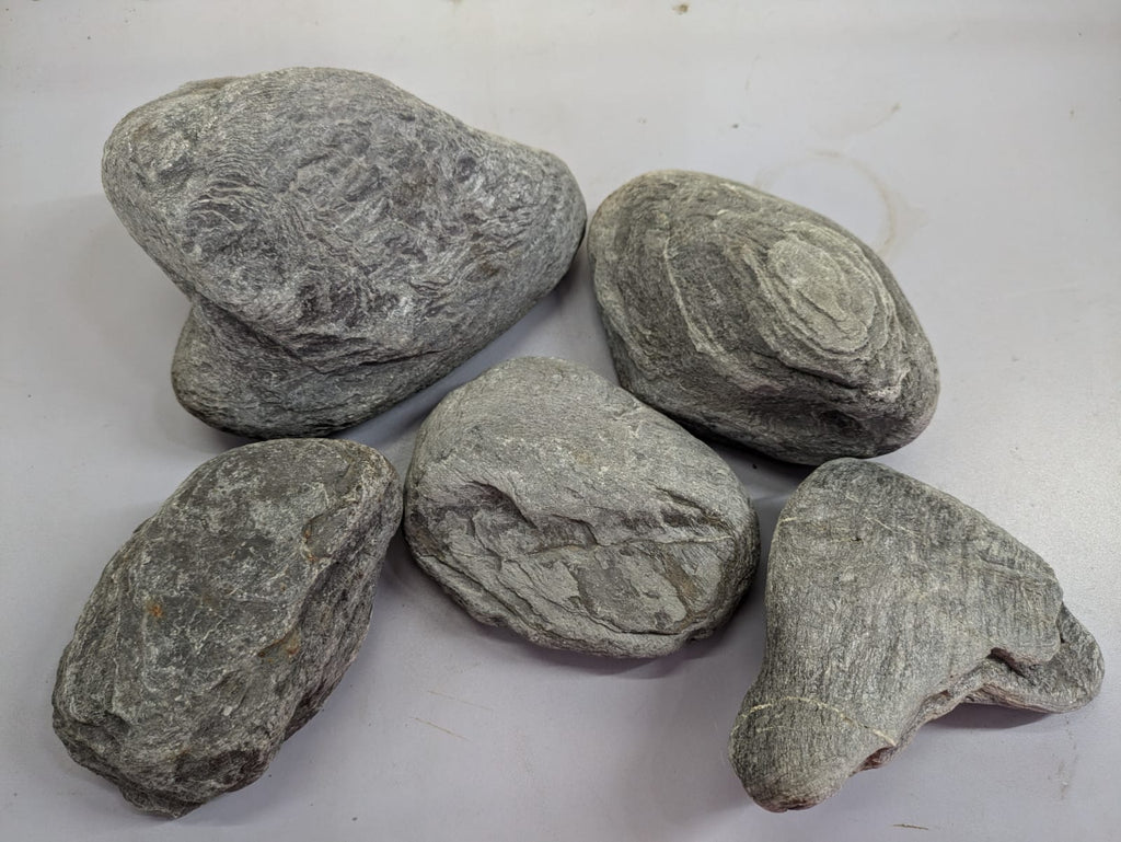 Wild Rhino Stones
