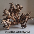Coral wood_main