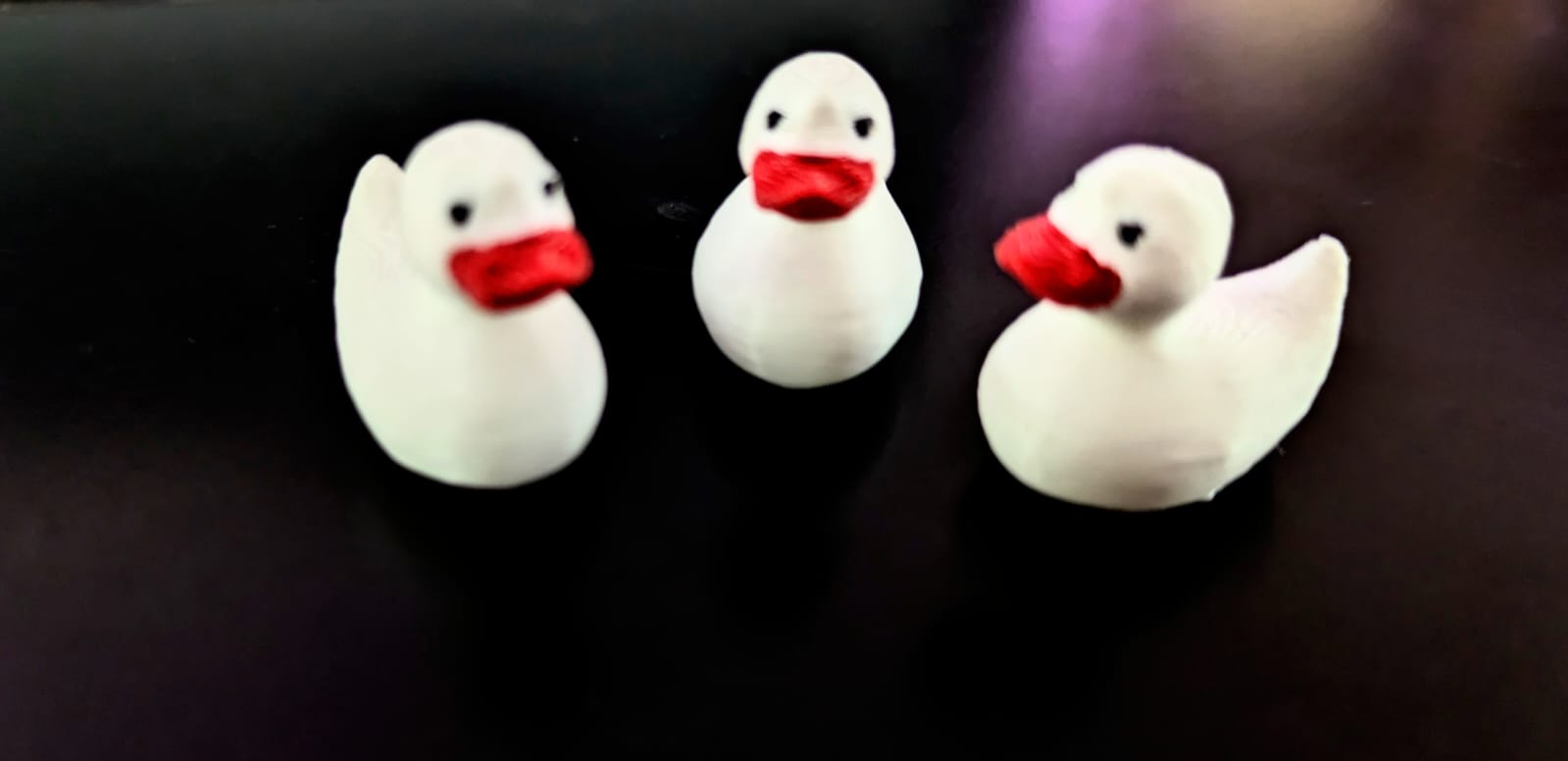 Miniature ducks (1)