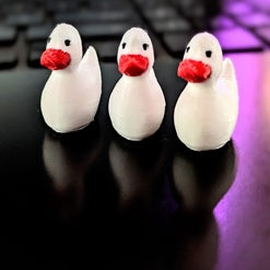 Miniature-ducks-main