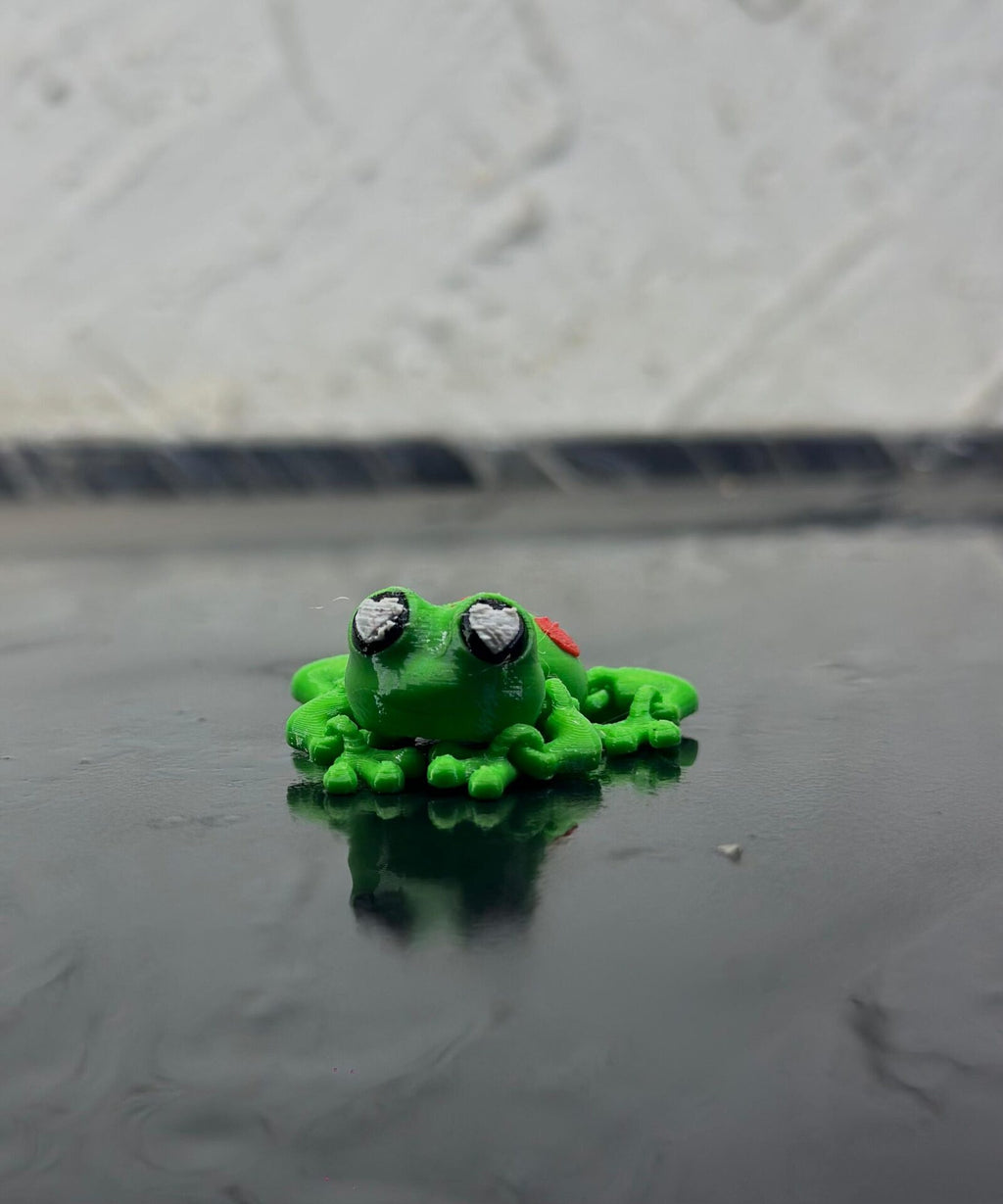 frog2