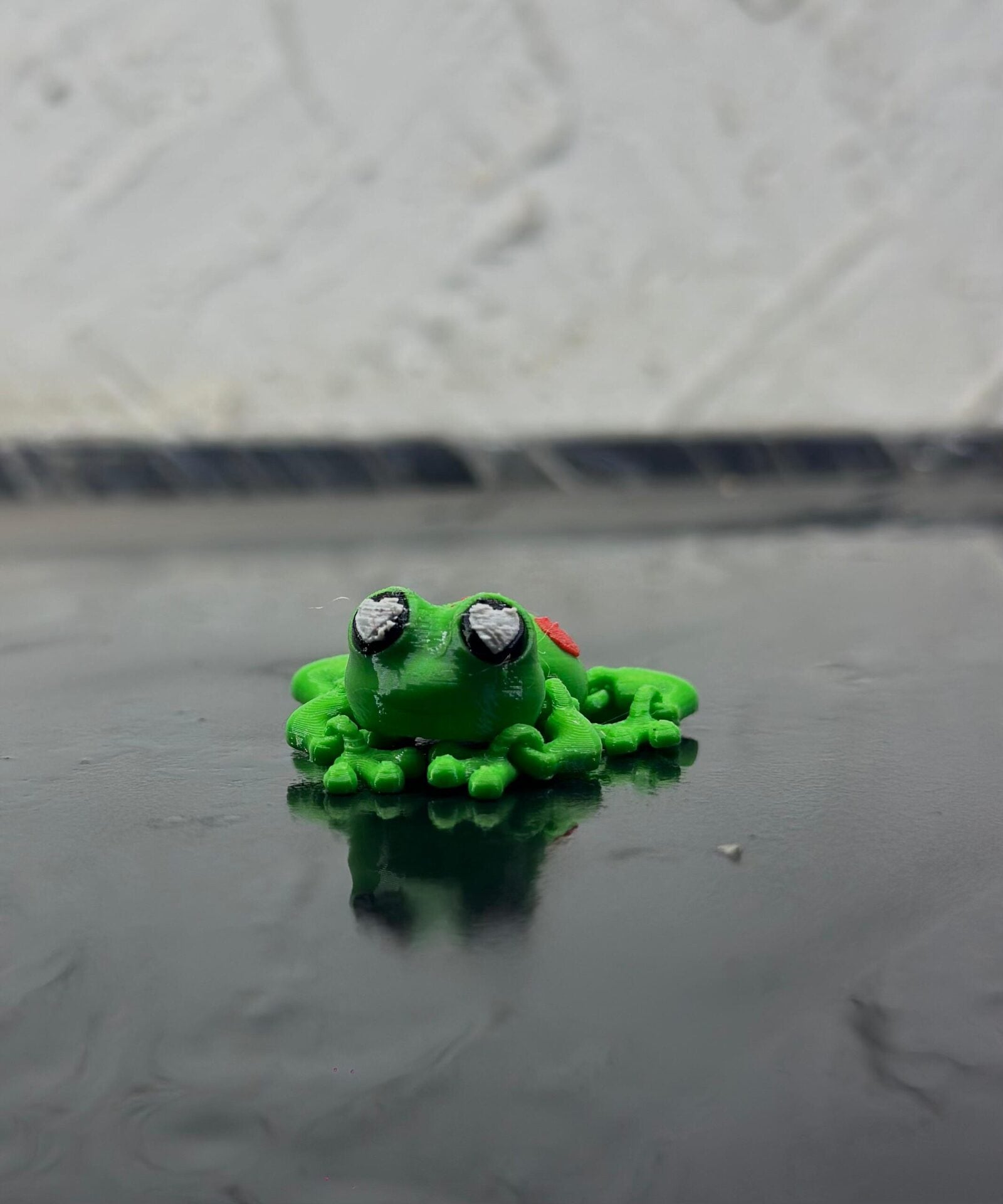frog2
