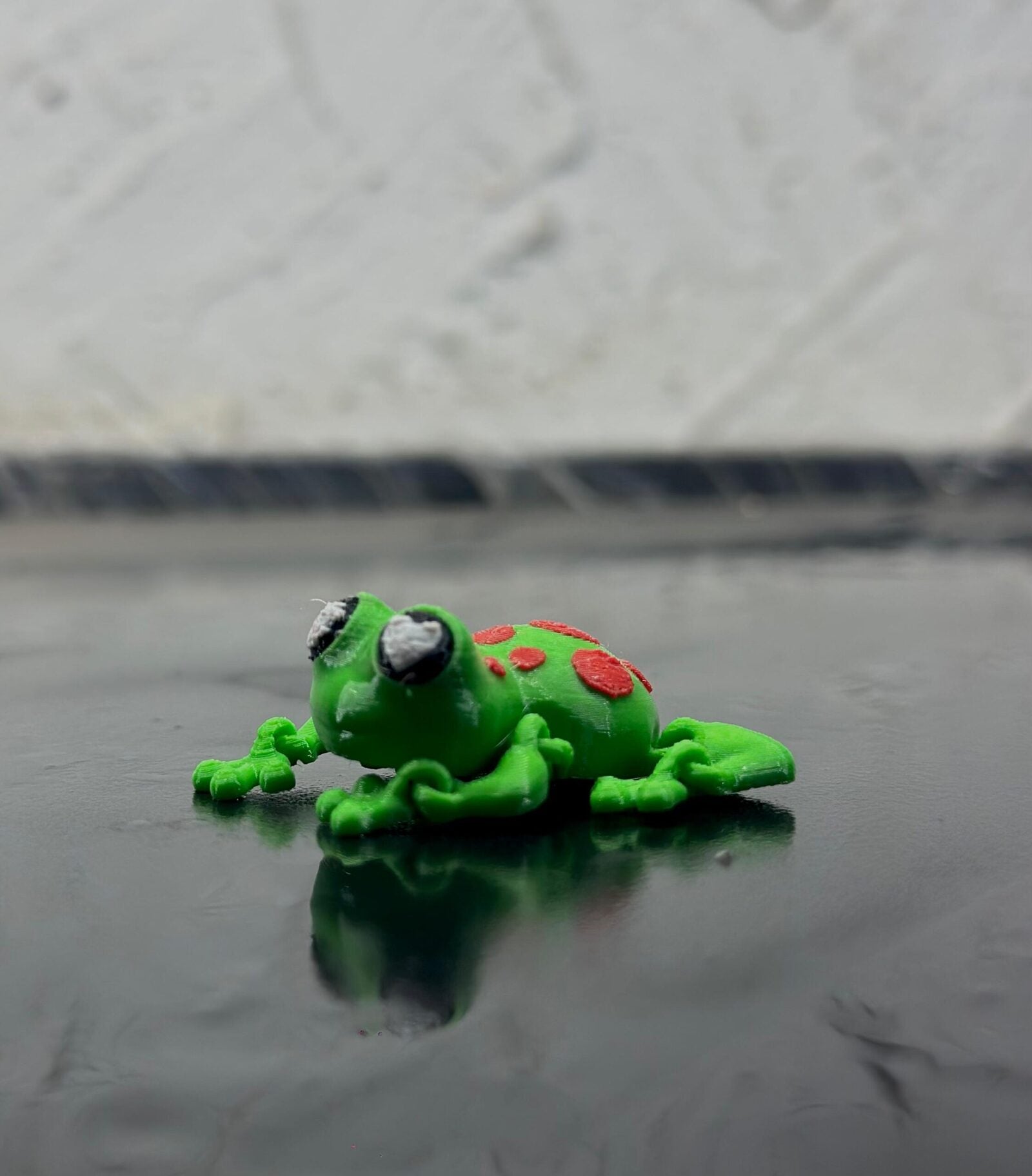 frog3
