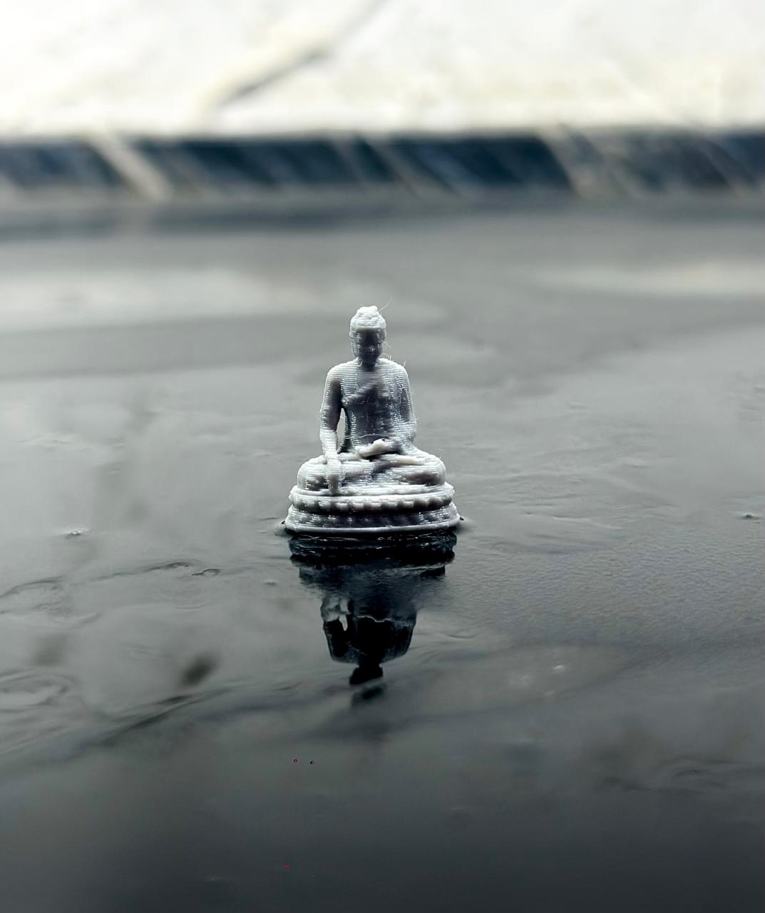 microbuddha (2)