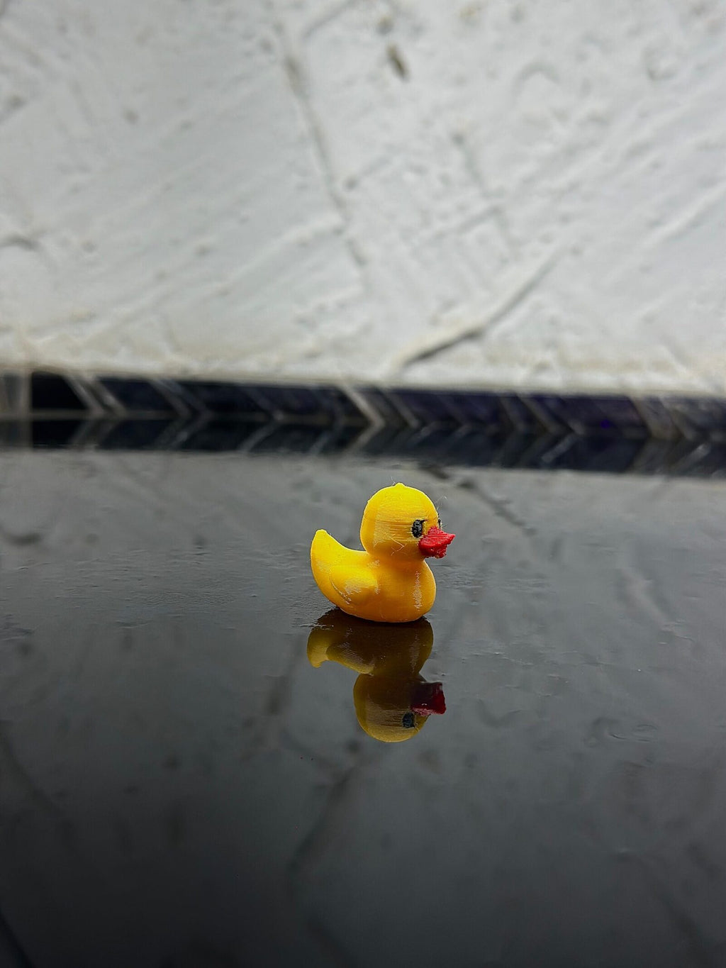 single_duck