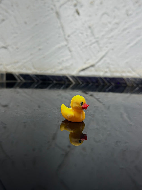 single_duck