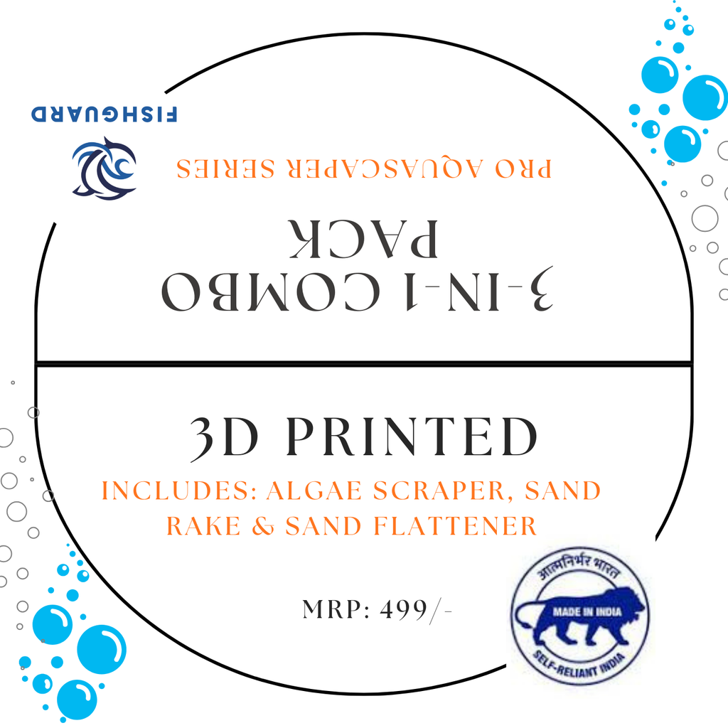 12cmx12cm – Algae Scraper (3)