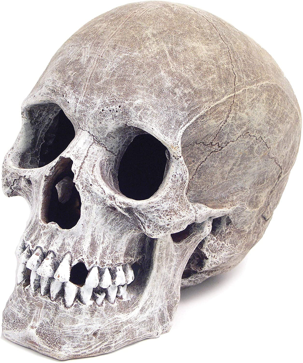 Aquarium Deco – Skull img