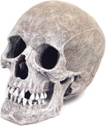 Aquarium Deco – Skull img