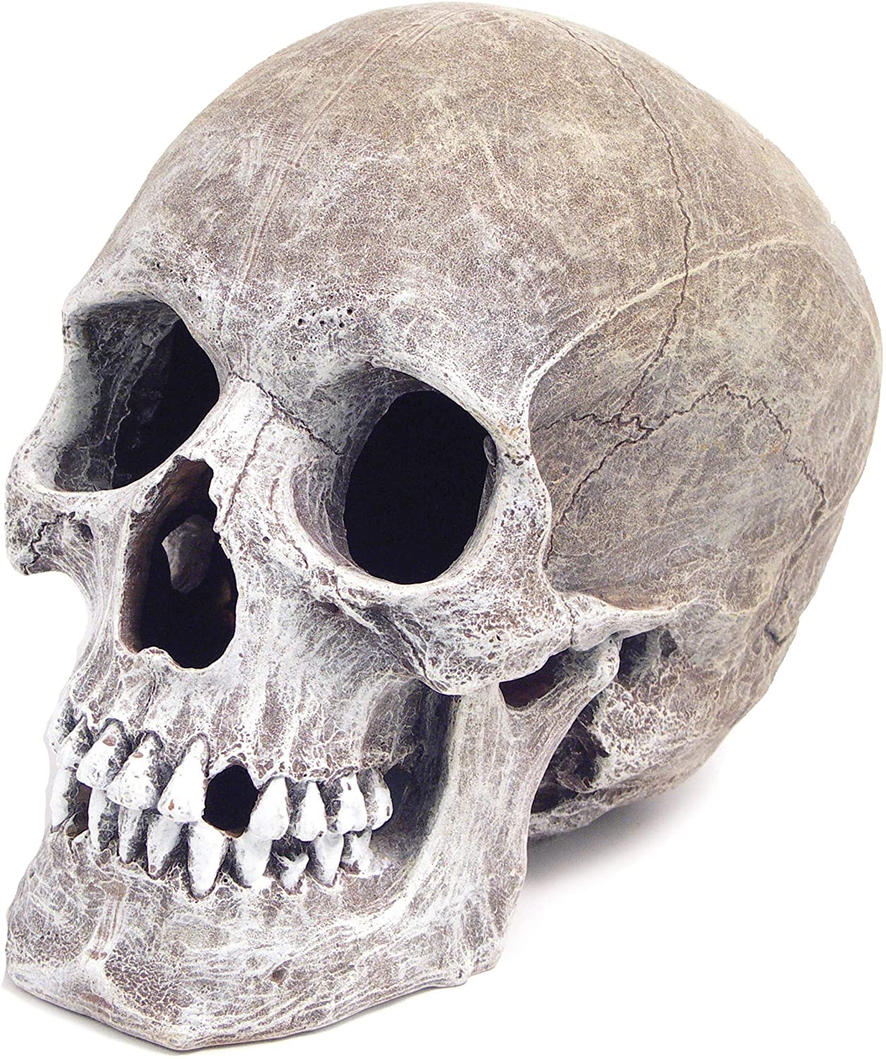 Aquarium Deco – Skull img