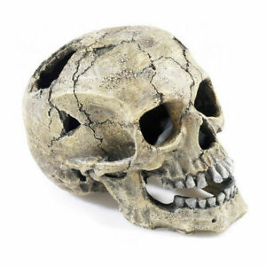 Aquarium Deco – Skull img1