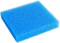 Blue Sponge – Big Square