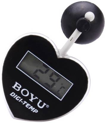 BOYU Digital Thermometer BT-08 img1