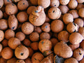 Hydroton Pellets