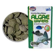 Hikari Algae Wafers 40g img