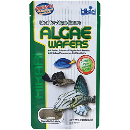Hikari Algae Wafers 82g