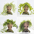 Groot Pot – with plants img